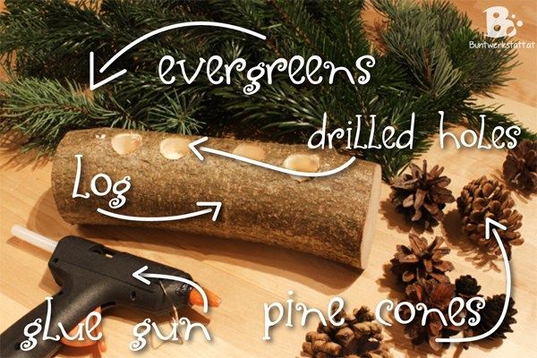 the contents of a christmas tree sitting on top of a wooden table next to pine cones