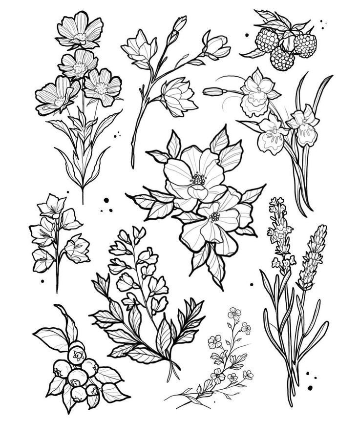 flowers are drawn in black and white ink