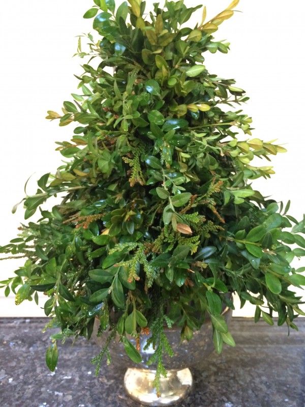 a potted plant with green leaves in it on top of a stone countertop