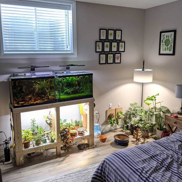 a bed room with a fish tank on top of it and plants in the corner