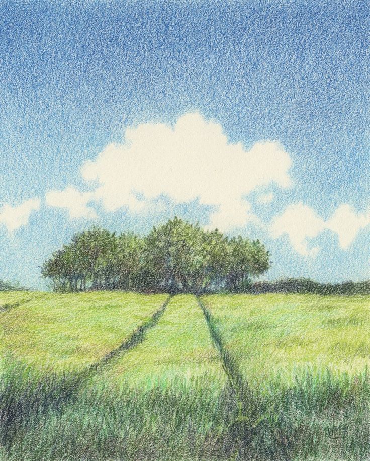 a colored pencil drawing of a field with trees in the distance and blue sky above