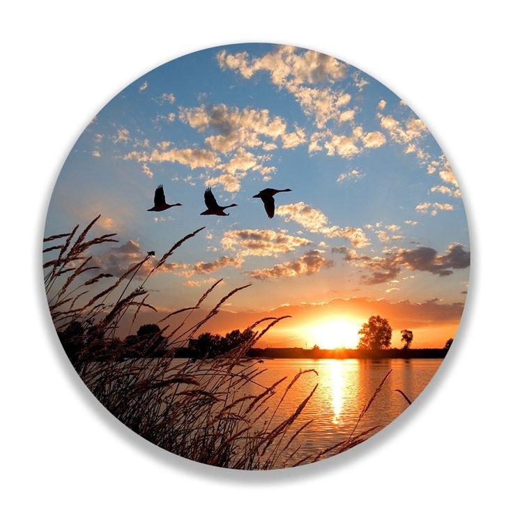 two birds flying in the sky over water at sunset or dawn with clouds and reeds