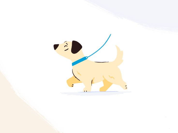 a cartoon dog with a blue collar is walking on a white background and looks up at the sky