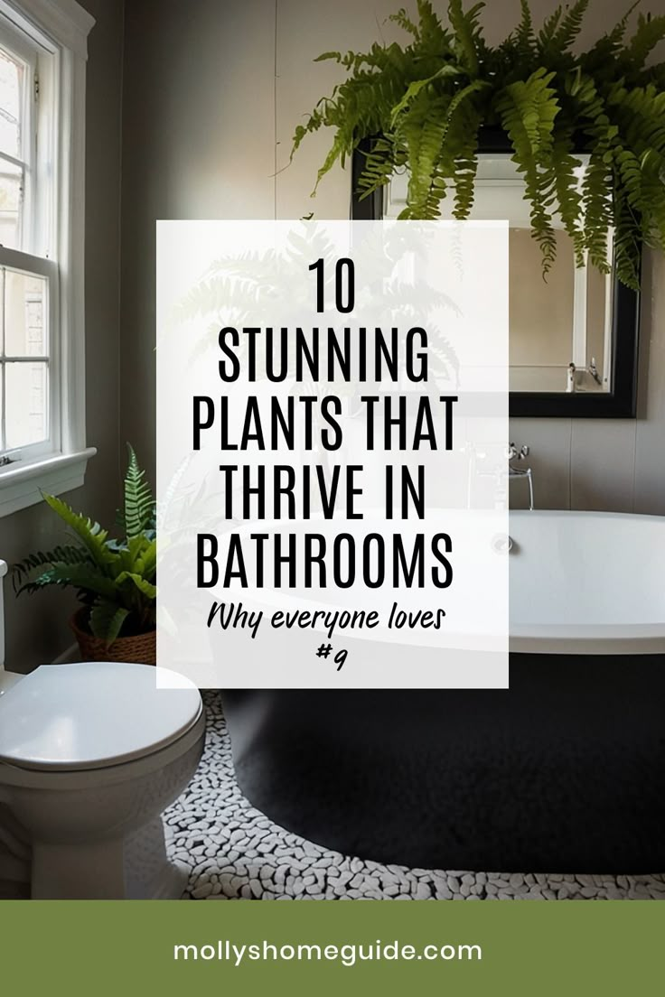 a bathroom that has plants in it and the words 10 stunning plants that thrive in bathrooms