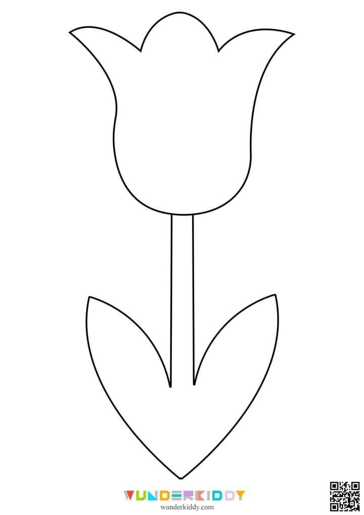 the outline of a tulip flower on a white background