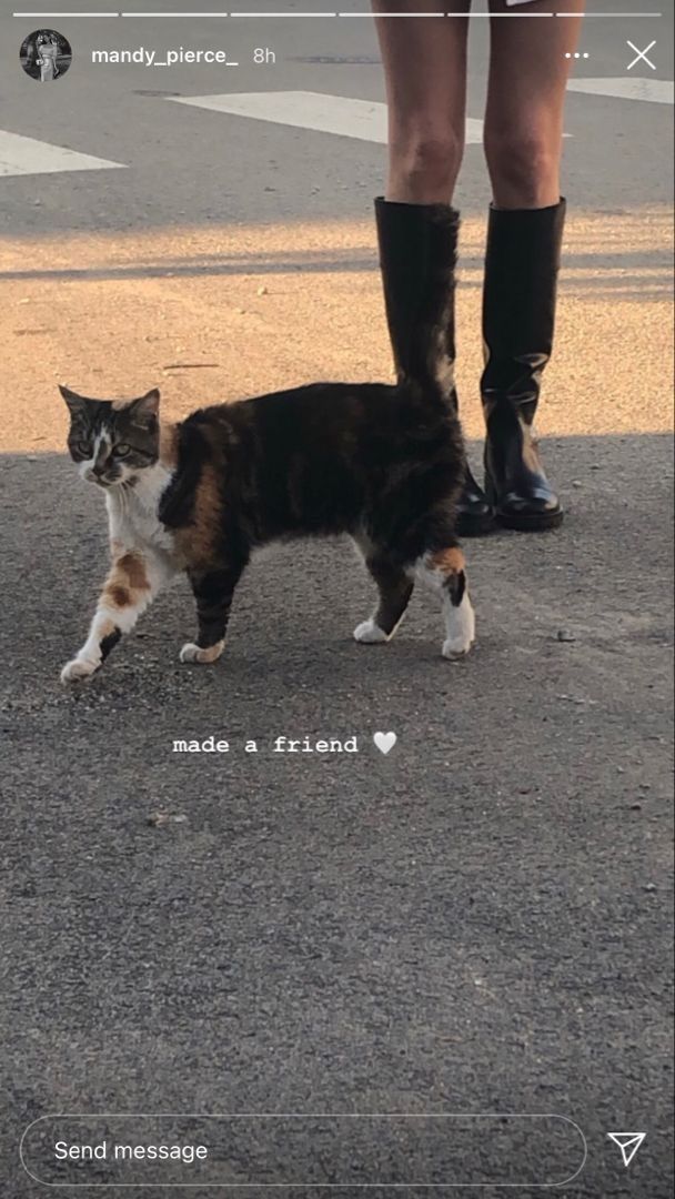 a cat walking across a street next to a person's legs and boots on