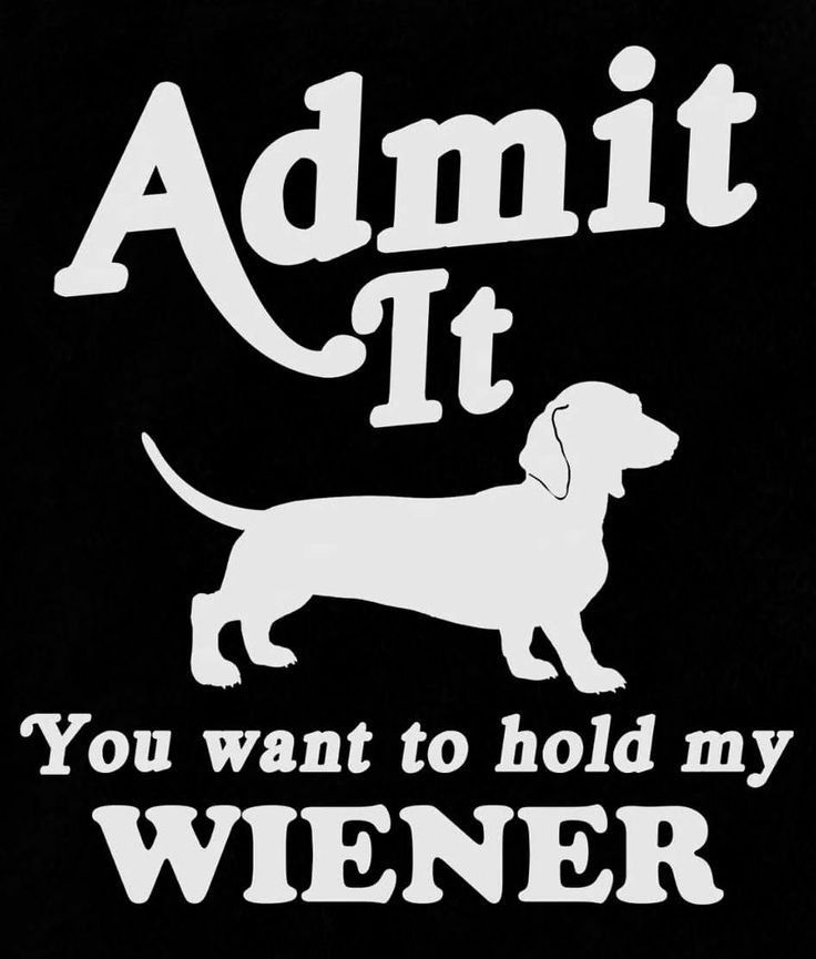 a black and white sign that says admit it you want to hold my wiener