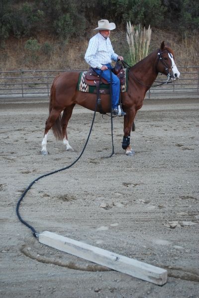 a man riding on the back of a brown horse