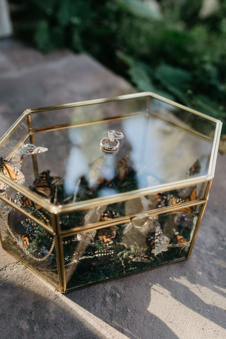 a glass box filled with jewelry sitting on top of a cement ground next to trees