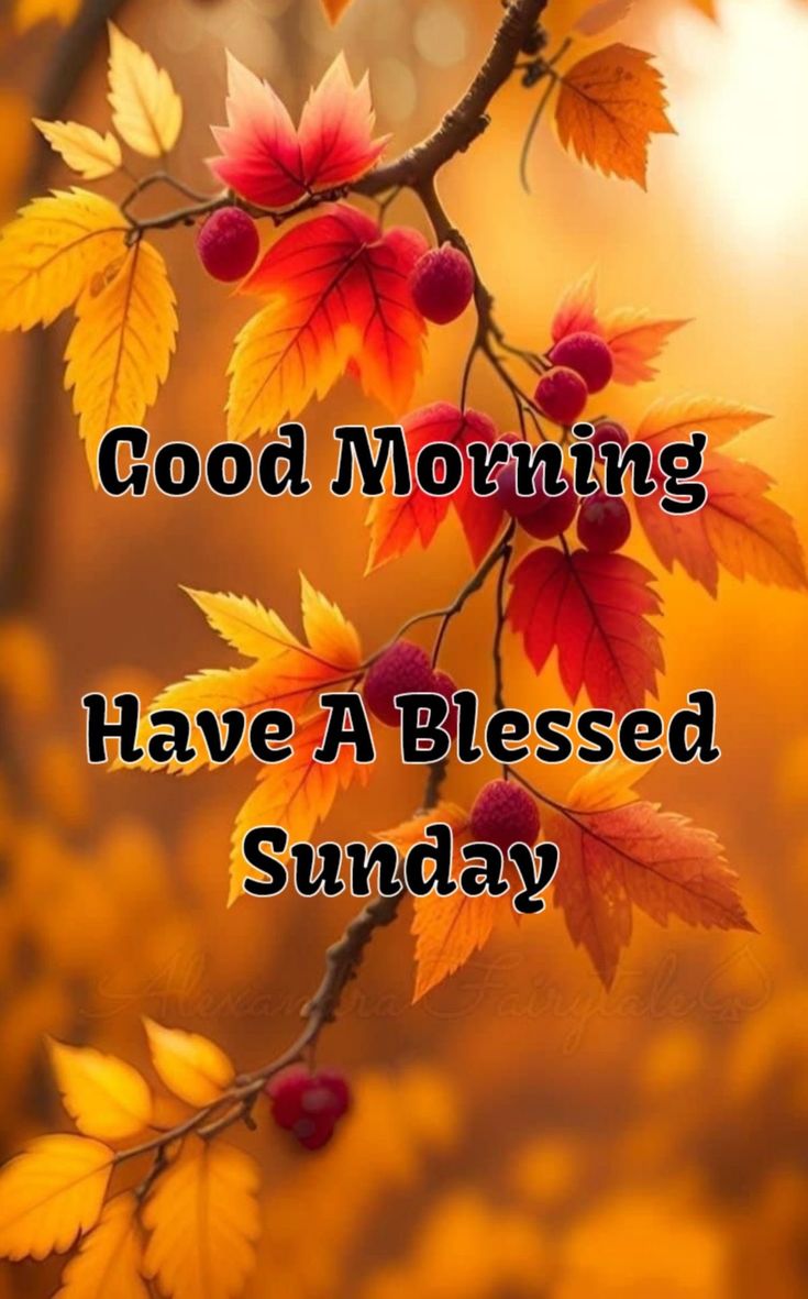 the words good morning have a blessing sunday are displayed in front of an image of autumn leaves