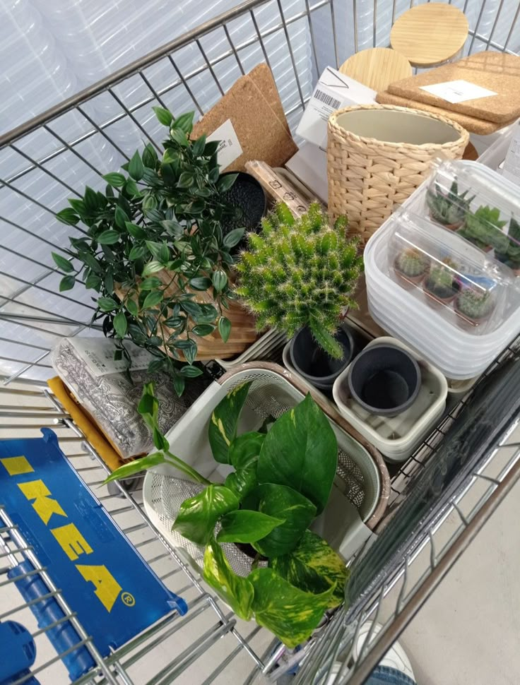 a shopping cart filled with lots of plants and other things to buy in a store