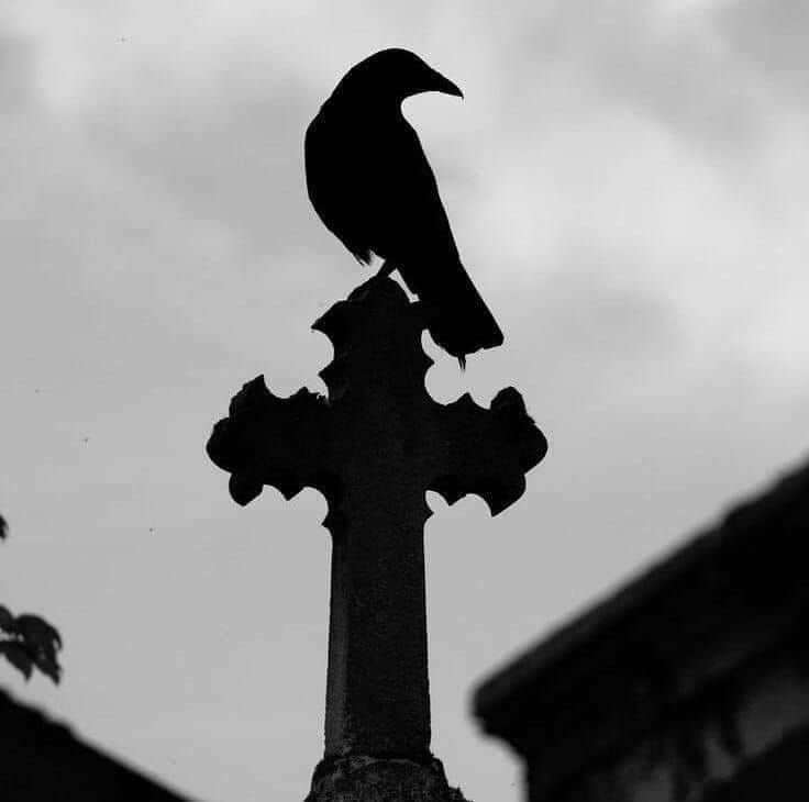 a black bird sitting on top of a cross