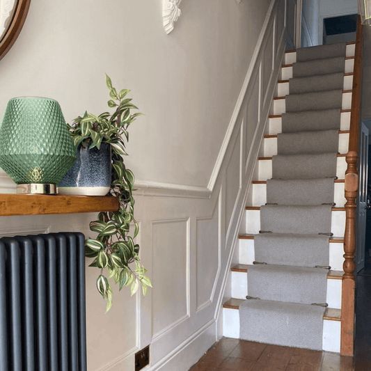 a room with a radiator, plant and mirror on the wall next to it