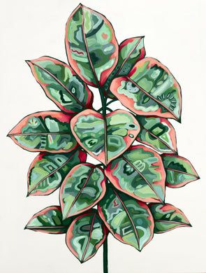 Ruby Ficus, Bohemian Painting, Colorful Plant, Ficus Elastica, Paper Birds, Watercolor Plants, Leaf Texture, Plant Painting, Colorful Plants