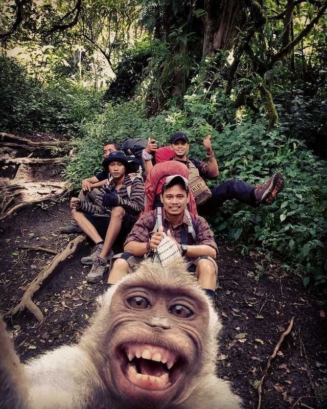 a group of people riding on the back of a monkey in the forest with their mouths open