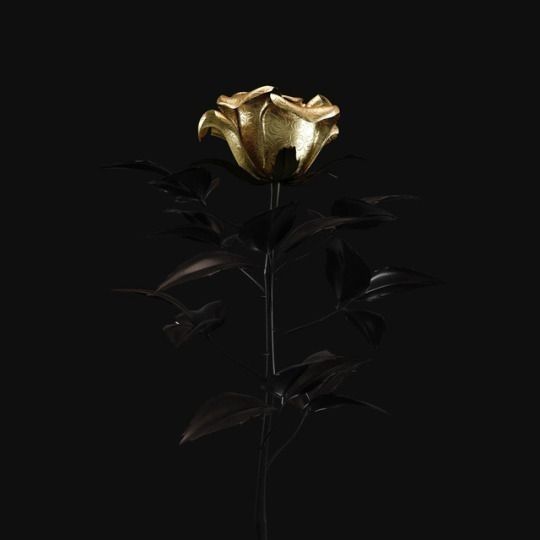 a gold colored rose on a black background