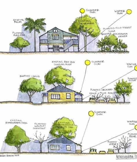 three diagrams showing different types of trees and how they are used to make them look like houses