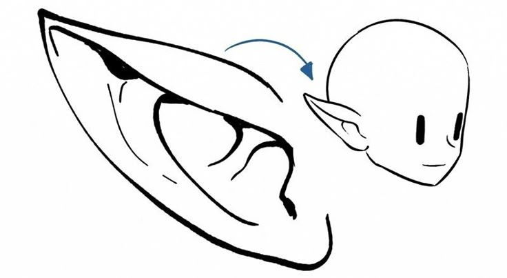 a drawing of an ear with two different angles