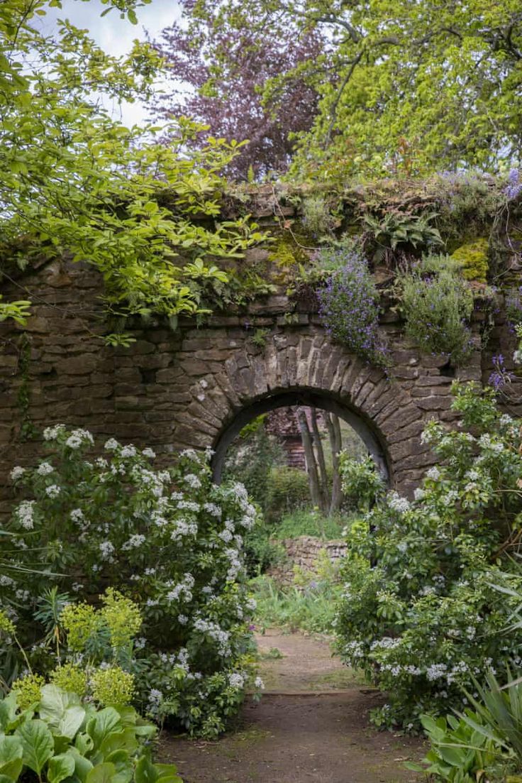 an archway in the middle of a garden filled with flowers