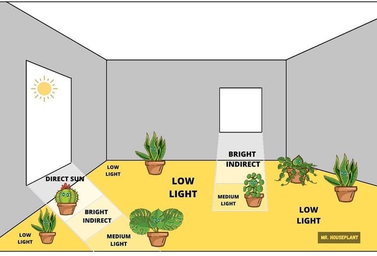 a room with plants and lights in it