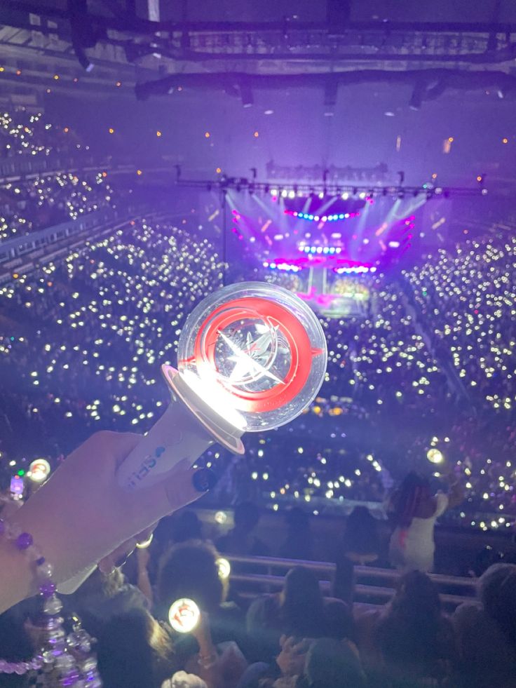 a person holding up an object in front of a crowd at a concert or show