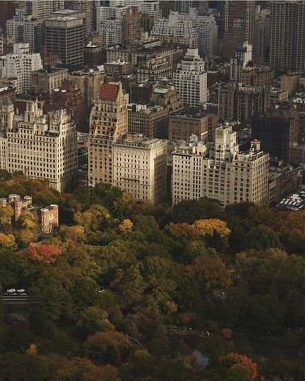 an aerial view of new york city in the fall with lots of trees and buildings