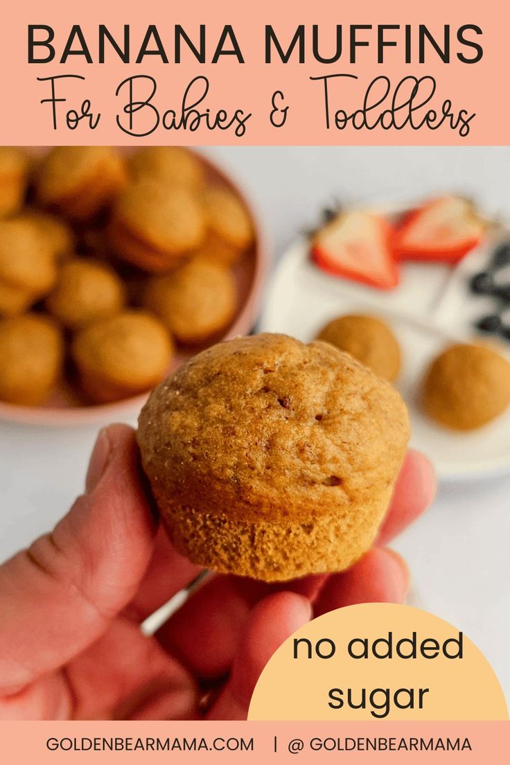 banana muffins for babies and toddlers no added sugar on the top with text overlay