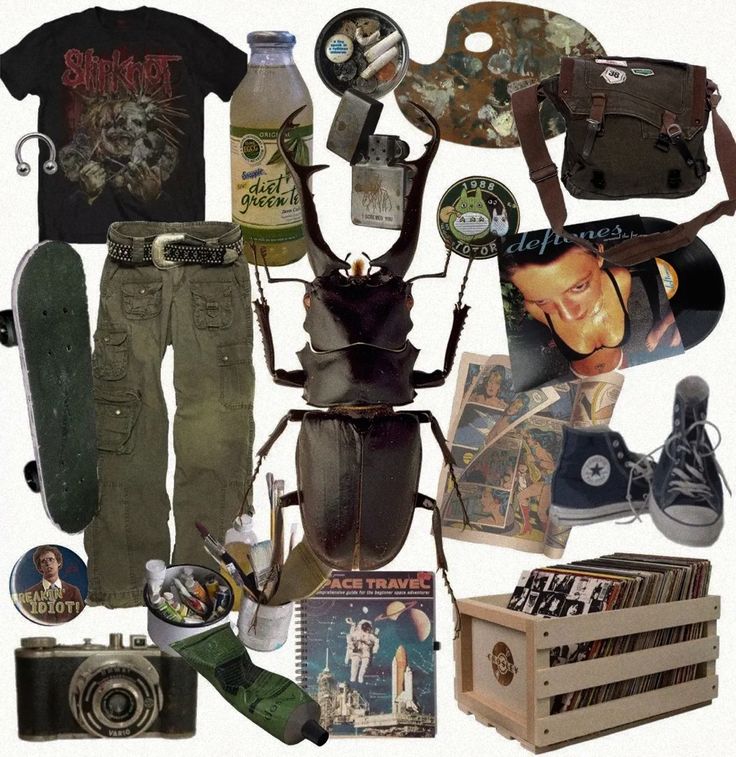 Beetle Aesthetic, Goblincore Clothes, Png Collage, Maximalist Outfit, Which Character Are You, Bug Beetle, Aesthetic Clothing Stores, Earthy Outfits, Aesthetic Moodboard