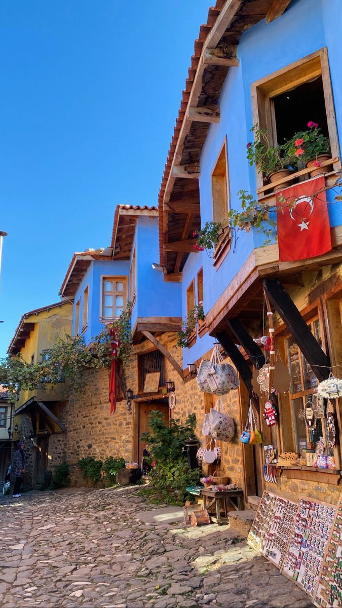 a cobblestone street lined with blue buildings and flowers on the balconies