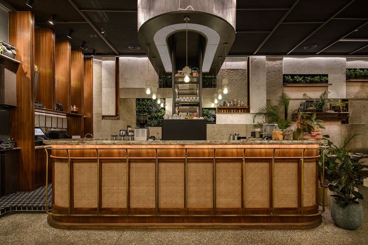 a kitchen with wooden cabinets and an island in front of the counter top is surrounded by potted plants