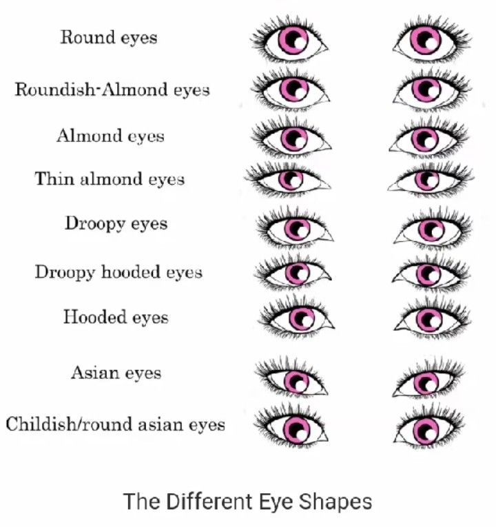 Shapes of eyes Eye Shape Chart, Different Types Of Eyes, Nose Types, Eye Color Chart, Shape Chart, Almond Shaped Eyes, Almond Eyes, Nose Shapes, Types Of Eyes