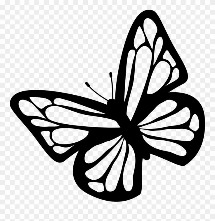 a black and white butterfly silhouette on a transparent background, with no background clipping