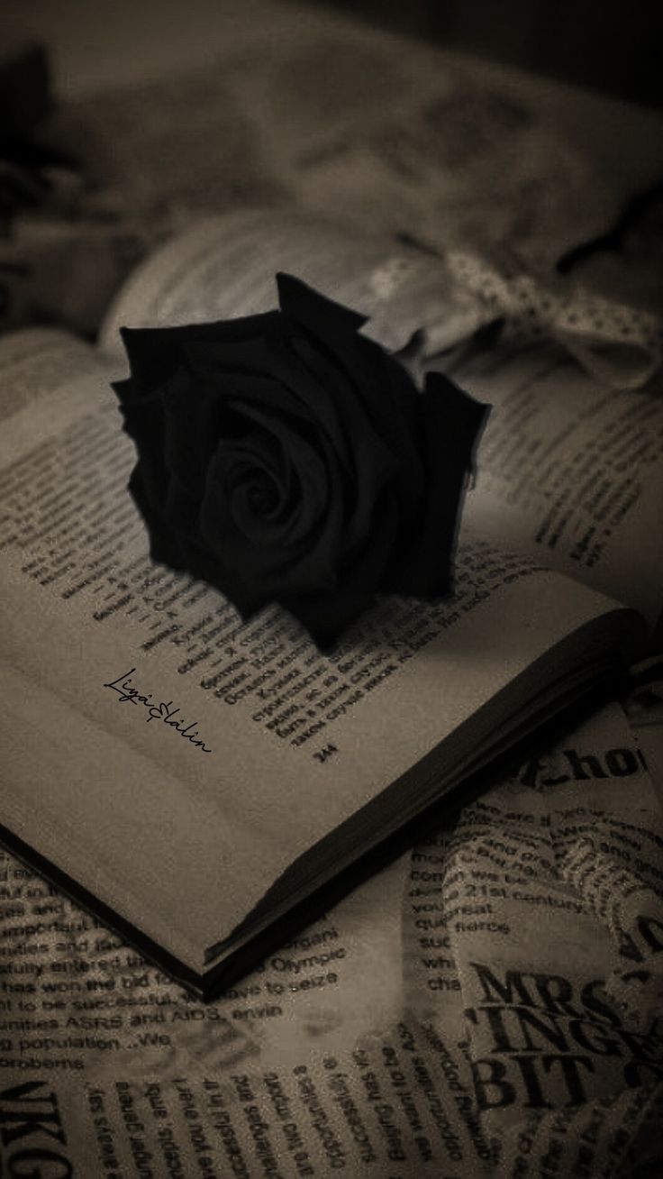 a black rose sitting on top of an open book