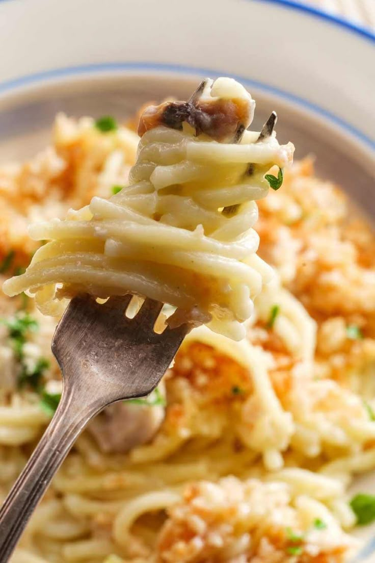 a fork full of pasta with parmesan cheese