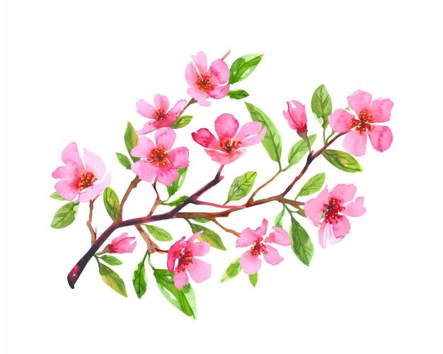 a branch with pink flowers and green leaves on it, painted in watercolor by hand