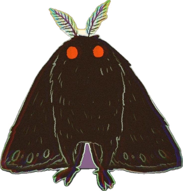 a drawing of a black moth with red eyes