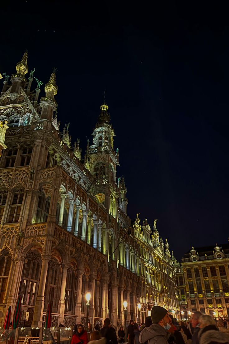 people are standing in front of an ornate building at night