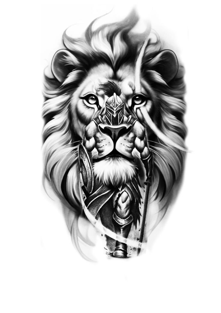 Lion With Warrior Tattoo Design, Spartan Lion Tattoo Design, Lion And Warrior Tattoo Design, Willpower Tattoo, Warrior Lion Tattoo, Worrier Tattoo Design, Loin Tattoos Design, Realistic Lion Tattoo Design, Roman Warrior Tattoo