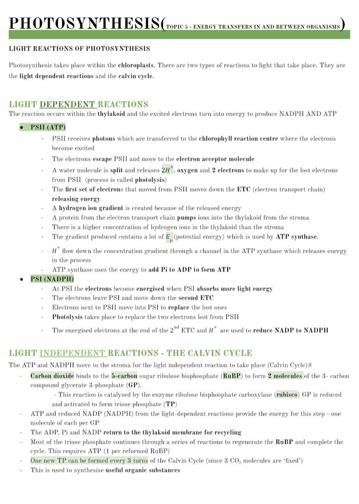 a green and white text description for an article on photosyntheism, written in english