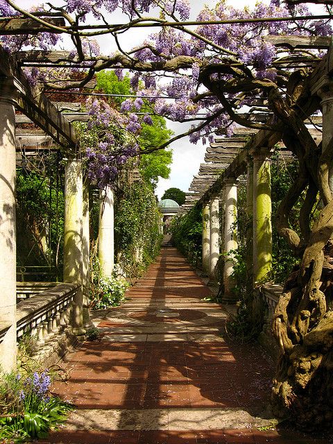 the walkway is lined with wistery trees and stone pillars, along with brick pavers