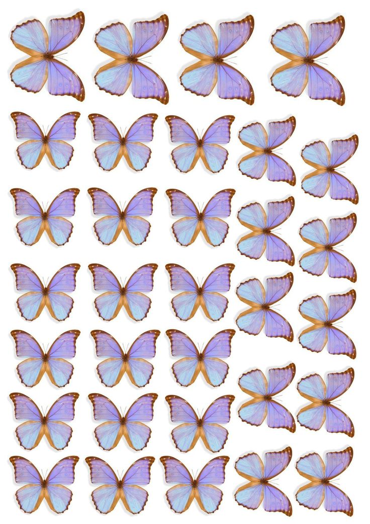 purple butterflies are arranged in rows on a white background