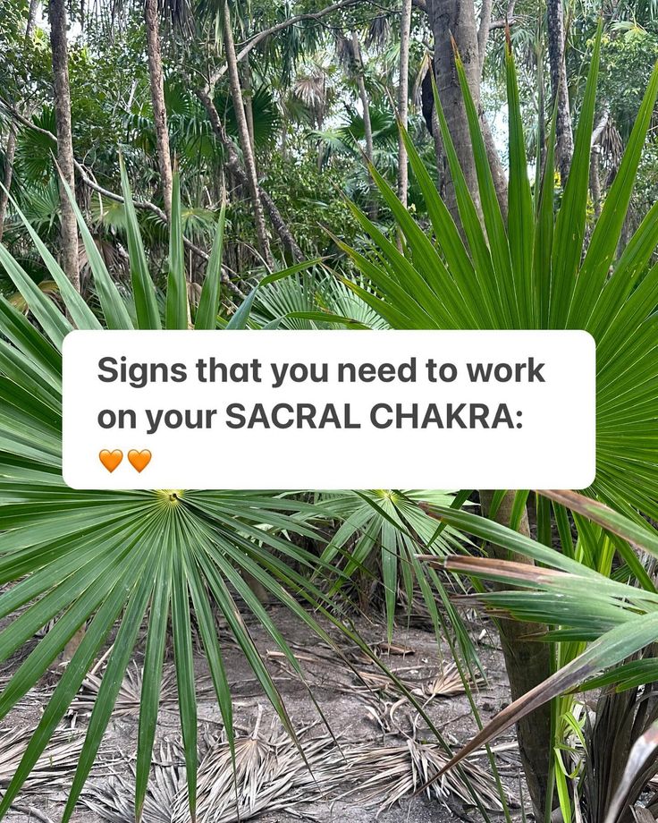 The Sacral Chakra is easily the most TRIGGERING chapter inside my signature program, CHAKRA SANCTUARY. 😧 If any of the signs listed above feel triggering to you - I absolutely understand why. Self-authority, career & talent, creativity, sensuality and MONEY are all in the exact same energetic. 🔀 When one of them is off, they are ALL affected. The good news is that if we can just focus on healing one aspect of the Sacral Chakra… all of the others will start to follow. And before you kn... Sacral Authority, Stepping Into Your Power, The Sacral Chakra, My Signature, Sacral Chakra, The Good News, Inside Me, The Signs, Good News