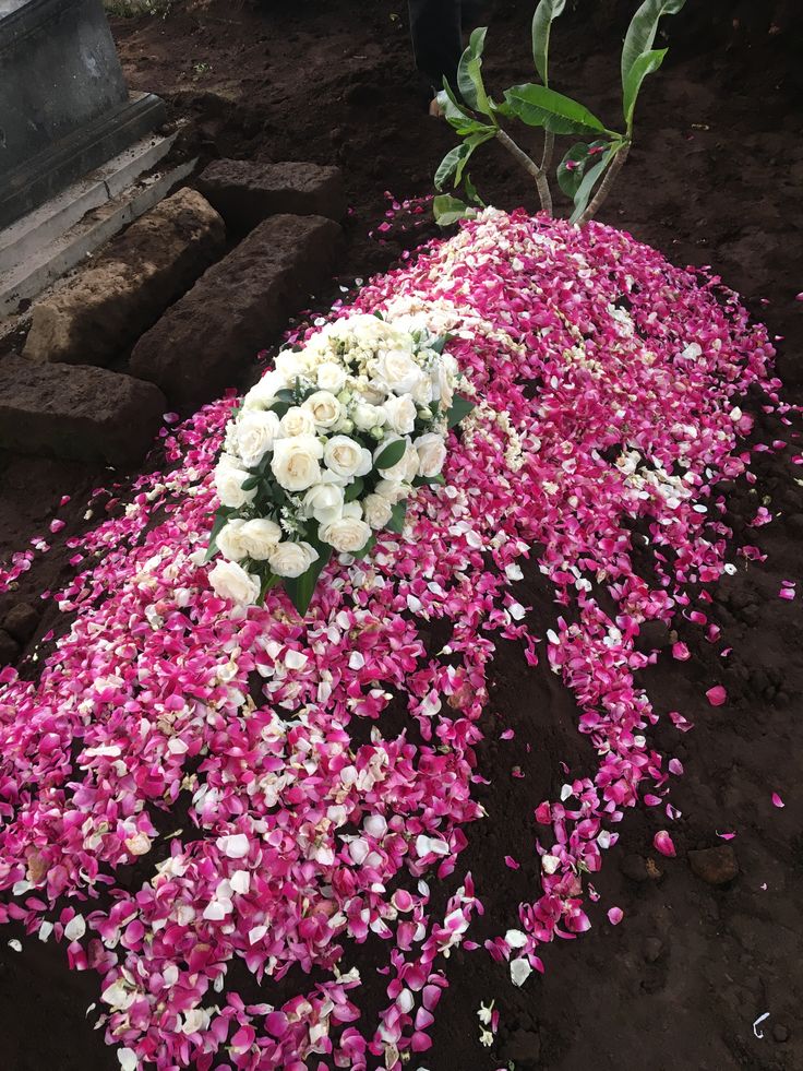 white and pink flowers on the ground