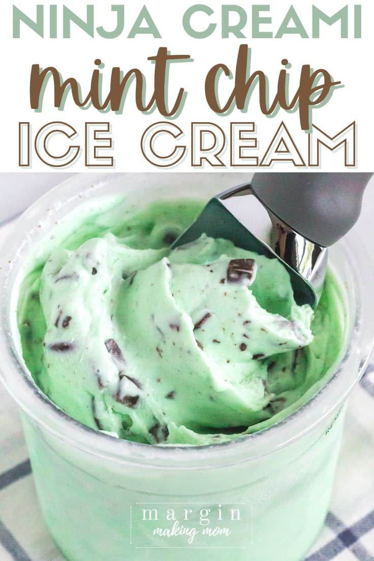 mint ice cream in a plastic container with a scooper on top and text overlay