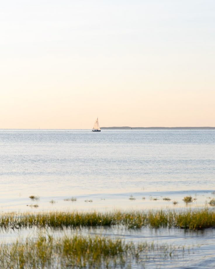 a boat is out on the water near some grass and plants in the foreground