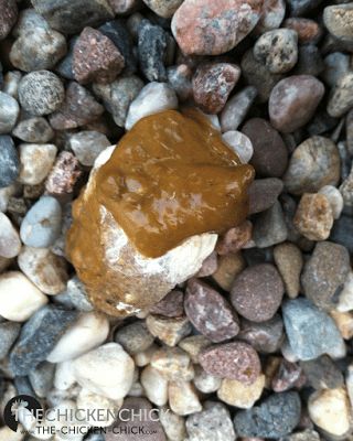 a rock with a brown substance sitting on it's side next to some rocks