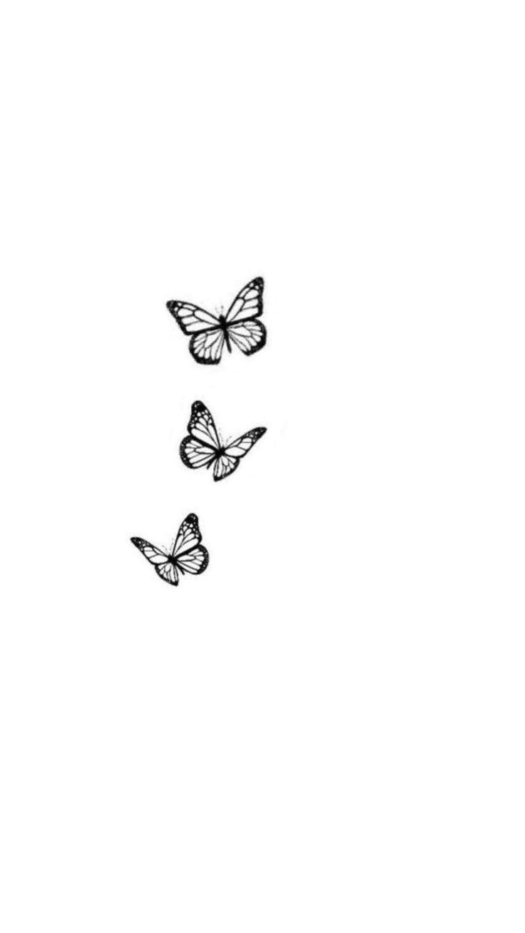 three butterflies flying in the air