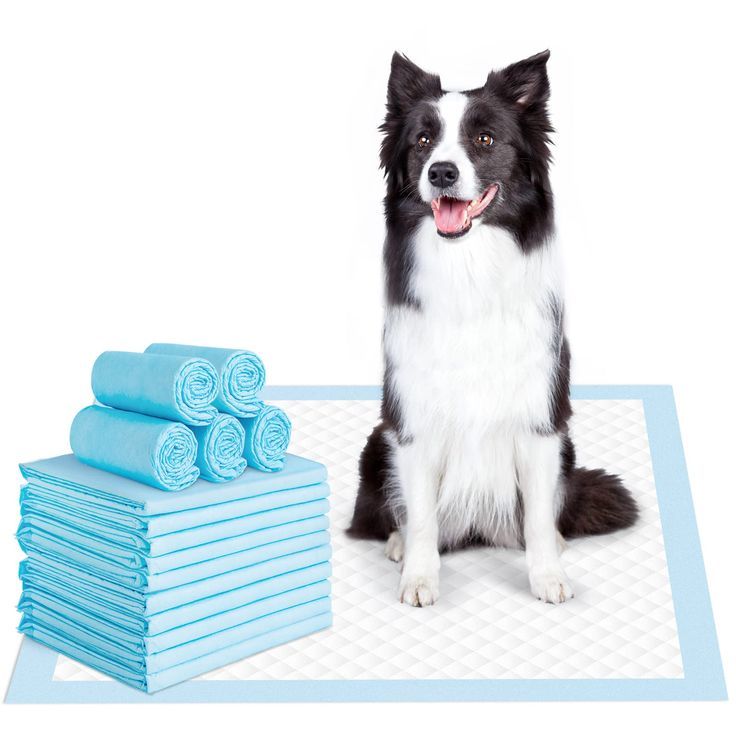 BangDie Pee Pads for Dogs, 100 Count Puppy Pads, Ultra Absorbent Dog Pads Extra Large/Regular, Disposable Pet Training Pads, Leak-Proof 6-Layer Dog Pee Pads Potty Pads Diy Pee Pads For Dogs, Diy Washable Puppy Pee Pads, Pee Pads For Dogs, Dog Pee Pads, Pet Training Pads, Potty Pads, Dog Pads, Puppy Pads, Cat Training Pads