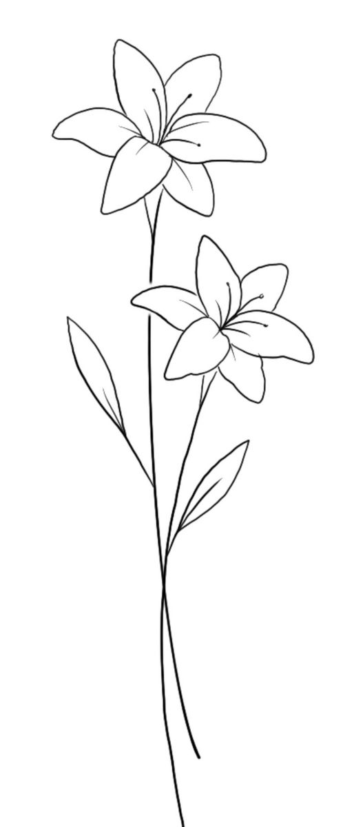 three flowers are shown in black and white, with one single flower on the left side