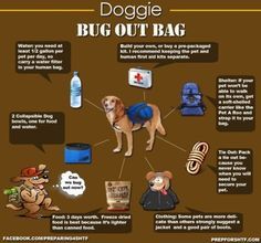 a dog wearing a backpack and some other things around it that are labeled in english